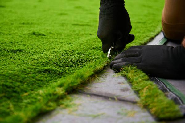 Maximize Your Outdoor Space with Quality Artificial Grass Installation